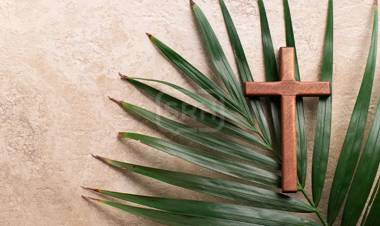 DOMINGO DE RAMOS: LA ESPERANZA EN UNA PALMA