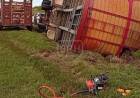 VUELCO EN RUTA 12: CAMIÓN CON GANADO Y DOS HERIDOS EN SAN ROQUE