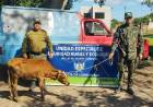 SAN LUIS DEL PALMAR | LO PARARON EN UN CONTROL Y LLEVABA UN TERNERO SIN PAPELES