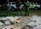 SECUESTRAN MÁS DE 300 KILOS DE PESCADO ILEGAL EN ITUZAINGÓ