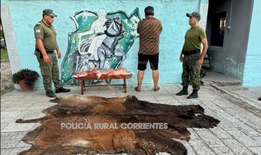 SECUESTRAN CARNE VACUNA TRANSPORTADA SIN CONTROL SANITARIO