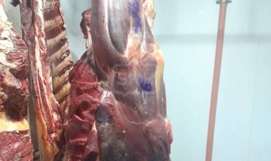 SECUESTRAN CARNE CON SELLOS APÓCRIFOS Y RESTOS ORGÁNICOS EN CURUZÚ CUATIÁ