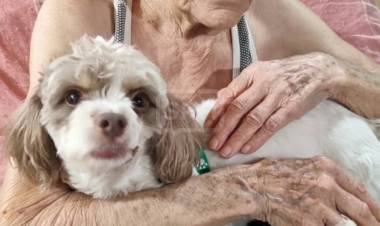 SANTA LUCIA | ABUELA Y SU CANICHE FUERON ATACADOS POR UN PERRO SUELTO