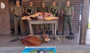 CRUZ DE LOS MILAGROS | SECUESTRAN MÁS DE 130 KILOS DE CARNE EN UNA FAENA CLANDESTINA