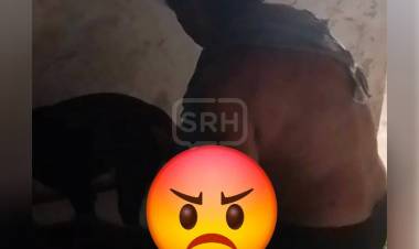 ZOOFILIA | ESCÁNDALO Y REPUDIO EN EL CASO ALITA