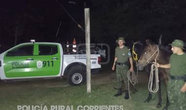 ITUZAINGO | CABALLOS SUELTOS CAUSAN DESTROZOS Y TERMINAN SECUESTRADOS