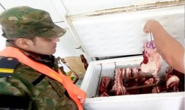 CONTROLES EN CARNICERÍAS: TODO EN REGLA EN PERUGORRÍA