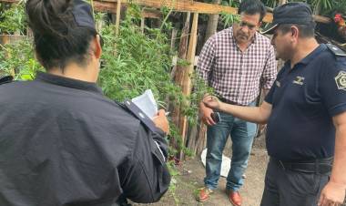 SALADAS | ALLANAMIENTO POR ROBO TERMINÓ CON SECUESTRO DE MARIHUANA