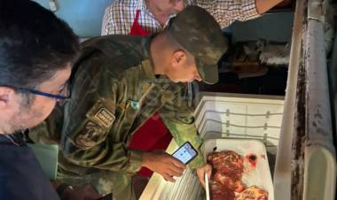 DECOMISAN CARNE EN MAL ESTADO TRAS CONTROLES EN SAN MIGUEL