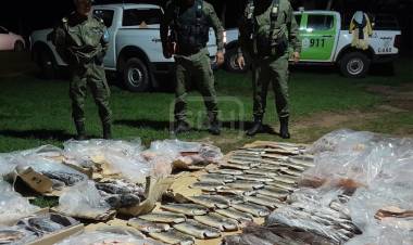 SECUESTRAN MÁS DE 300 KILOS DE PESCADO ILEGAL EN ITUZAINGÓ
