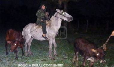 CAÁ CATÍ | LLEGARON A TIEMPO Y FRUSTRARON ROBO DE TERNEROS