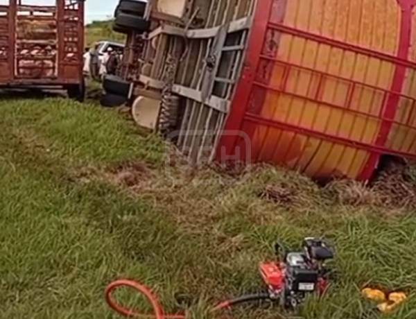VUELCO EN RUTA 12: CAMIÓN CON GANADO Y DOS HERIDOS EN SAN ROQUE
