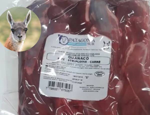 YA VENDEN CARNE DE GUANACO: CUESTA $6.500 EL KILO Y BUSCA GANAR MERCADO
