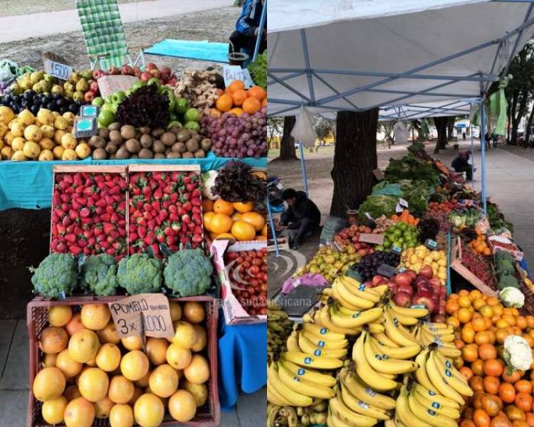 CORRIENTES CAPITAL | Comprar tomates es un lujo, pero bajó el precio de otros productos