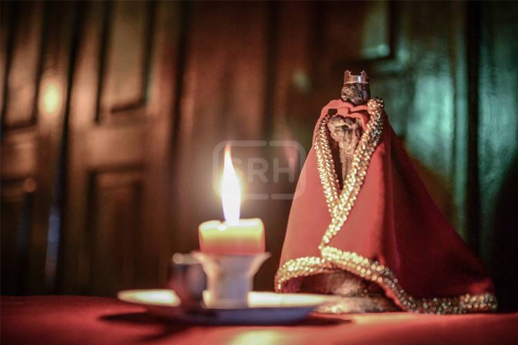 6 DE ENERO: ENTRE REYES MAGOS Y SAN BALTAZAR, UNA CELEBRACIÓN DE FE Y TRADICIÓN