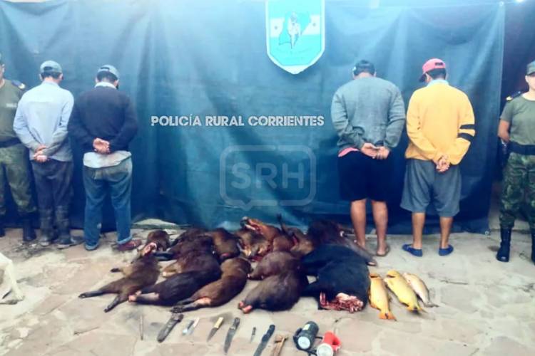 PASO DE LOS LIBRES | CAZABAN Y LOS ATRAPARON CON CARPINCHOS, DORADOS Y UN CHANCHO SALVAJE