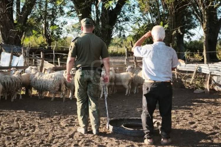 COLONIA 3 DE ABRIL | APARECIERON LAS 18 OVEJAS Y EL CAMPO RESPIRÓ ALIVIADO