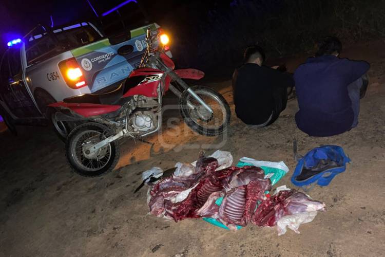 ESQUINA | CAEN TRES HOMBRES CON CARNE DE ANIMALES SILVESTRES